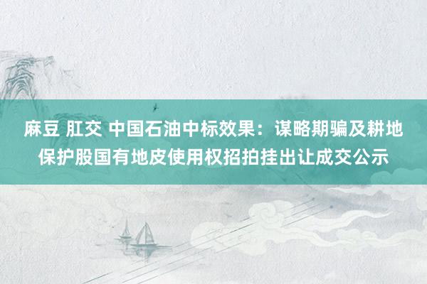 麻豆 肛交 中国石油中标效果：谋略期骗及耕地保护股国有地皮使用权招拍挂出让成交公示