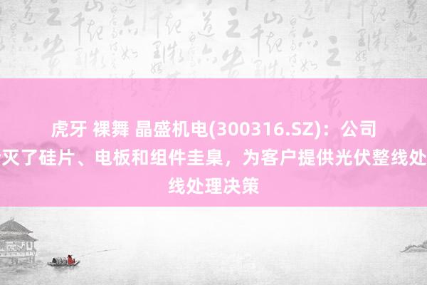 虎牙 裸舞 晶盛机电(300316.SZ)：公司居品澌灭了硅片、电板和组件圭臬，为客户提供光伏整线处理决策