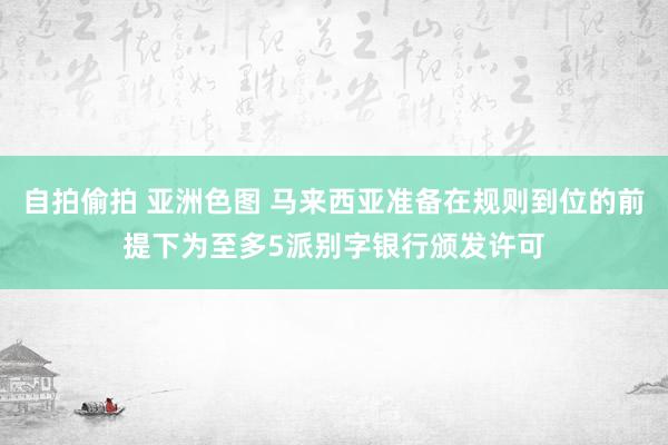 自拍偷拍 亚洲色图 马来西亚准备在规则到位的前提下为至多5派别字银行颁发许可