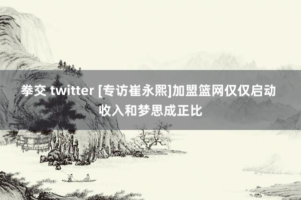 拳交 twitter [专访崔永熙]加盟篮网仅仅启动 收入和梦思成正比