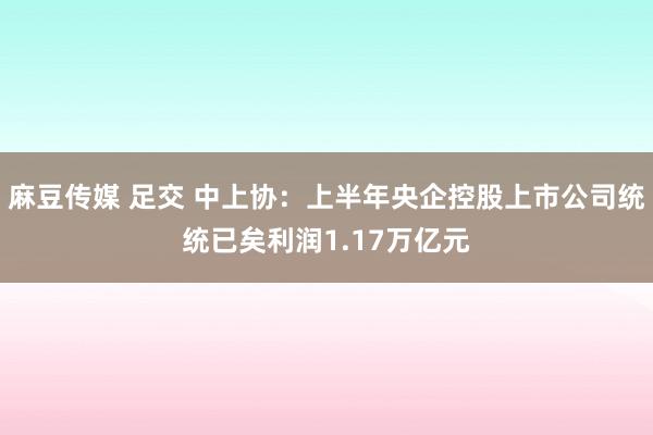 麻豆传媒 足交 中上协：上半年央企控股上市公司统统已矣利润1.17万亿元