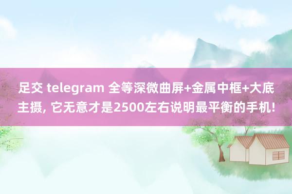 足交 telegram 全等深微曲屏+金属中框+大底主摄, 它无意才是2500左右说明最平衡的手机!