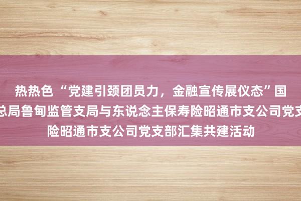 热热色 “党建引颈团员力，金融宣传展仪态”国度金融监督处分总局鲁甸监管支局与东说念主保寿险昭通市支公司党支部汇集共建活动