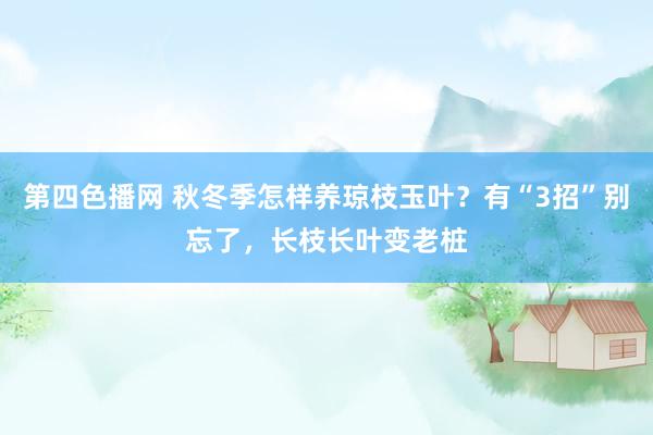 第四色播网 秋冬季怎样养琼枝玉叶？有“3招”别忘了，长枝长叶变老桩