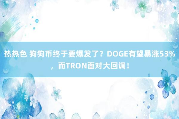 热热色 狗狗币终于要爆发了？DOGE有望暴涨53%，而TRON面对大回调！