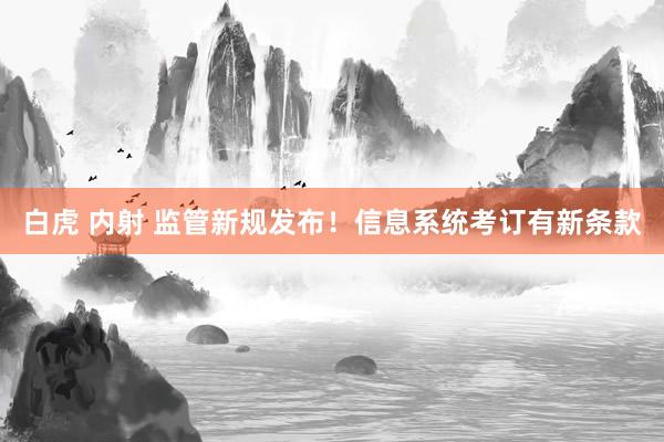 白虎 内射 监管新规发布！信息系统考订有新条款