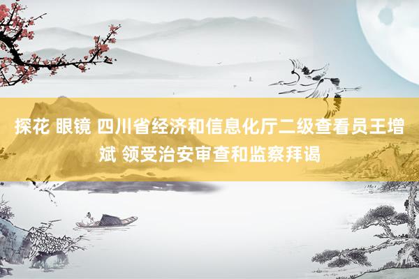 探花 眼镜 四川省经济和信息化厅二级查看员王增斌 领受治安审查和监察拜谒