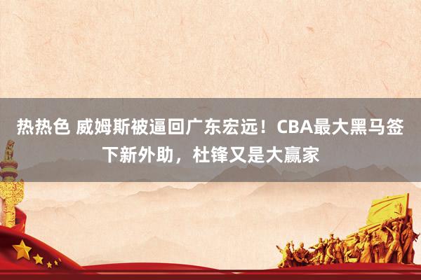 热热色 威姆斯被逼回广东宏远！CBA最大黑马签下新外助，杜锋又是大赢家