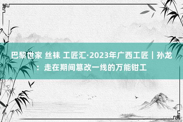 巴黎世家 丝袜 工匠汇·2023年广西工匠｜孙龙：走在期间篡改一线的万能钳工