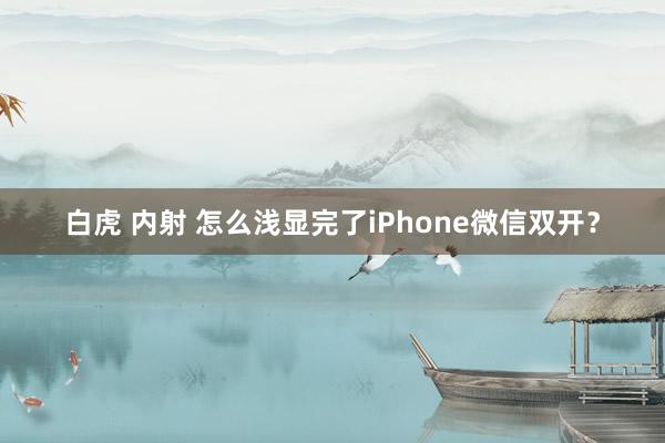 白虎 内射 怎么浅显完了iPhone微信双开？