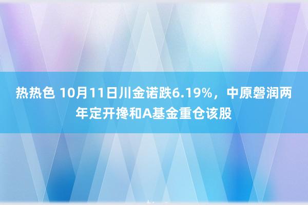 热热色 10月11日川金诺跌6.19%，中原磐润两年定开搀和A基金重仓该股