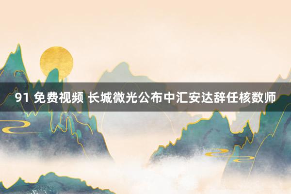 91 免费视频 长城微光公布中汇安达辞任核数师