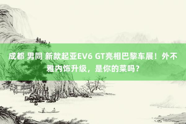 成都 男同 新款起亚EV6 GT亮相巴黎车展！外不雅内饰升级，是你的菜吗？