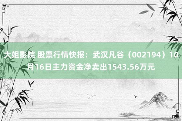 大姐影院 股票行情快报：武汉凡谷（002194）10月16日主力资金净卖出1543.56万元