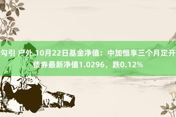 勾引 户外 10月22日基金净值：中加恒享三个月定开债券最新净值1.0296，跌0.12%