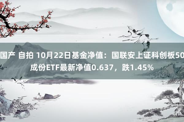 国产 自拍 10月22日基金净值：国联安上证科创板50成份ETF最新净值0.637，跌1.45%