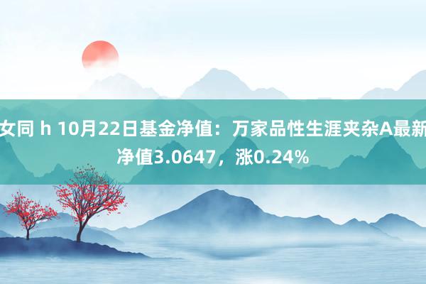 女同 h 10月22日基金净值：万家品性生涯夹杂A最新净值3.0647，涨0.24%