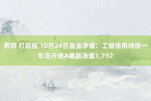 男同 打屁股 10月24日基金净值：工银信用纯债一年定开债A最新净值1.792