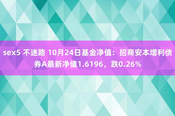 sex5 不迷路 10月24日基金净值：招商安本增利债券A最新净值1.6196，跌0.26%