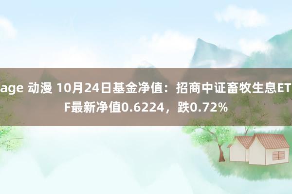 age 动漫 10月24日基金净值：招商中证畜牧生息ETF最新净值0.6224，跌0.72%