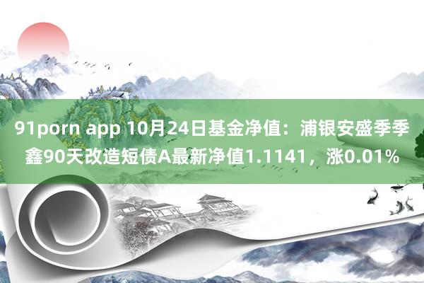 91porn app 10月24日基金净值：浦银安盛季季鑫90天改造短债A最新净值1.1141，涨0.01%