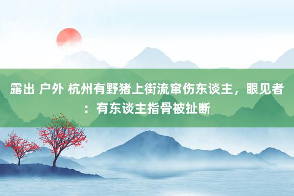 露出 户外 杭州有野猪上街流窜伤东谈主，眼见者：有东谈主指骨被扯断