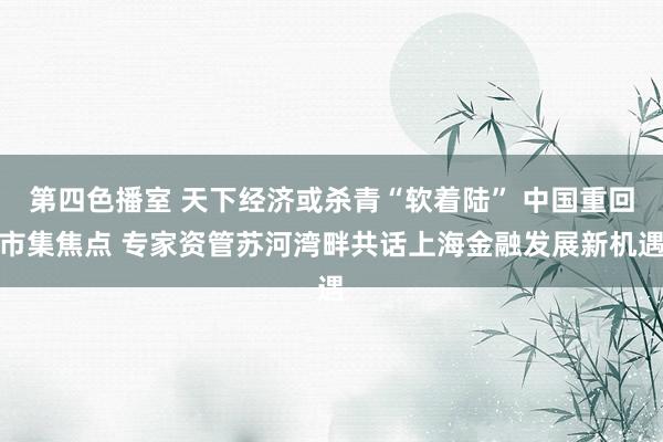 第四色播室 天下经济或杀青“软着陆” 中国重回市集焦点 专家资管苏河湾畔共话上海金融发展新机遇