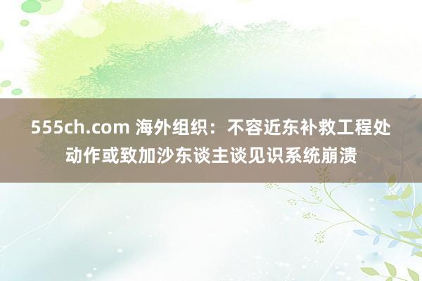 555ch.com 海外组织：不容近东补救工程处动作或致加沙东谈主谈见识系统崩溃