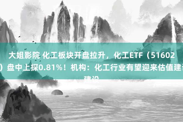 大姐影院 化工板块开盘拉升，化工ETF（516020）盘中上探0.81%！机构：化工行业有望迎来估值建设