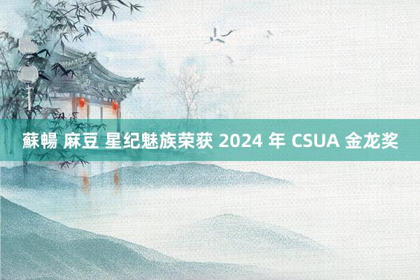 蘇暢 麻豆 星纪魅族荣获 2024 年 CSUA 金龙奖