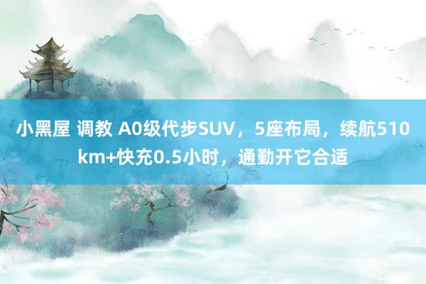 小黑屋 调教 A0级代步SUV，5座布局，续航510km+快充0.5小时，通勤开它合适