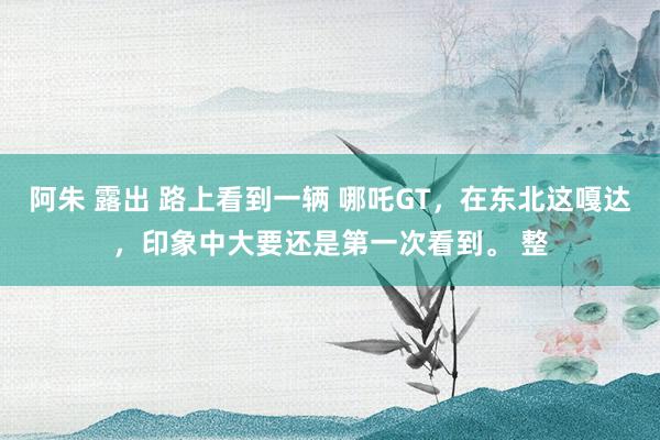 阿朱 露出 路上看到一辆 哪吒GT，在东北这嘎达，印象中大要还是第一次看到。 整