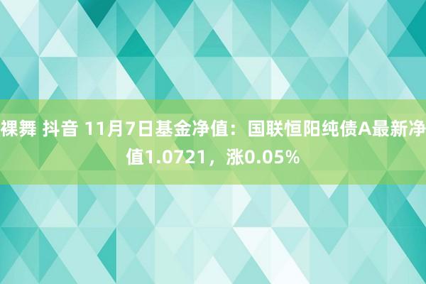 裸舞 抖音 11月7日基金净值：国联恒阳纯债A最新净值1.0721，涨0.05%