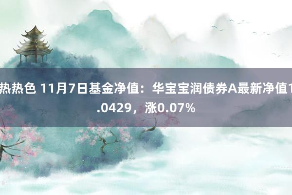 热热色 11月7日基金净值：华宝宝润债券A最新净值1.0429，涨0.07%