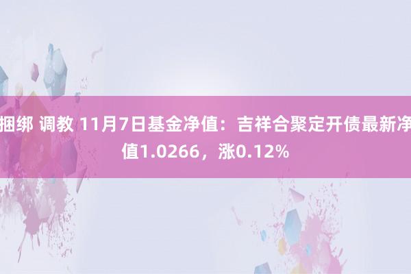 捆绑 调教 11月7日基金净值：吉祥合聚定开债最新净值1.0266，涨0.12%