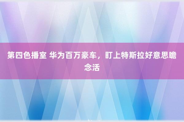 第四色播室 华为百万豪车，盯上特斯拉好意思瞻念活