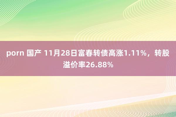 porn 国产 11月28日富春转债高涨1.11%，转股溢价率26.88%