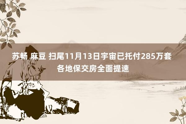 苏畅 麻豆 扫尾11月13日宇宙已托付285万套 各地保交房全面提速