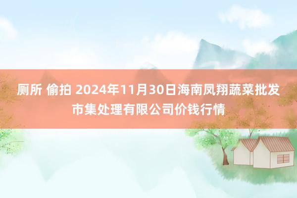 厕所 偷拍 2024年11月30日海南凤翔蔬菜批发市集处理有限公司价钱行情