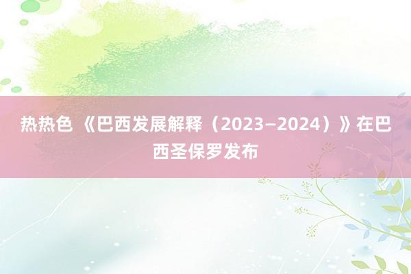 热热色 《巴西发展解释（2023—2024）》在巴西圣保罗发布