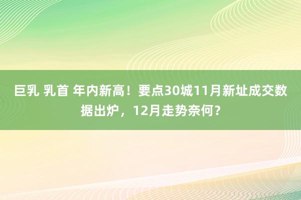 巨乳 乳首 年内新高！要点30城11月新址成交数据出炉，12月走势奈何？