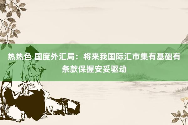 热热色 国度外汇局：将来我国际汇市集有基础有条款保握安妥驱动