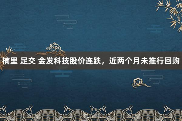 楠里 足交 金发科技股价连跌，近两个月未推行回购