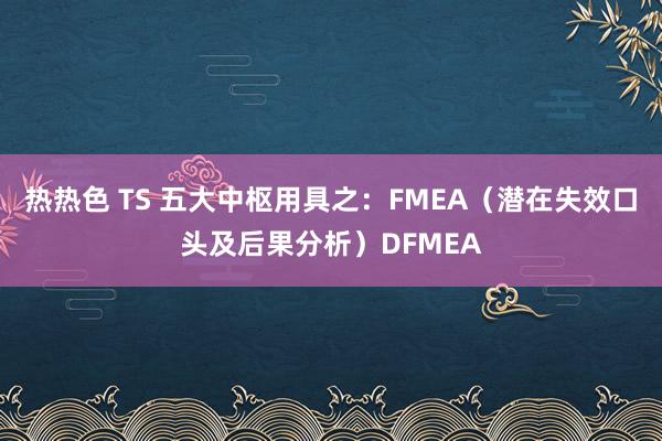 热热色 TS 五大中枢用具之：FMEA（潜在失效口头及后果分析）DFMEA