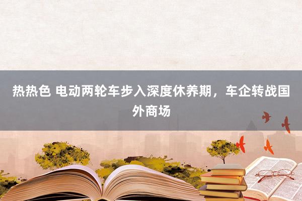 热热色 电动两轮车步入深度休养期，车企转战国外商场