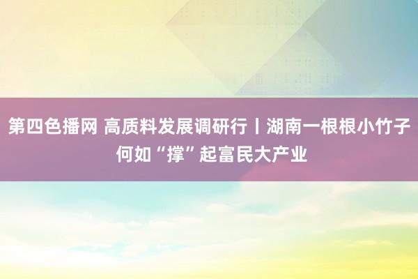 第四色播网 高质料发展调研行丨湖南一根根小竹子 何如“撑”起富民大产业