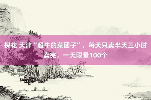 探花 天津“超牛的菜团子”，每天只卖半天三小时卖完，一天限量100个