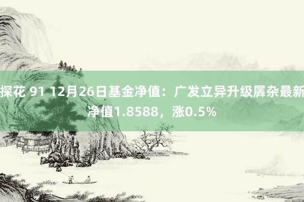 探花 91 12月26日基金净值：广发立异升级羼杂最新净值1.8588，涨0.5%