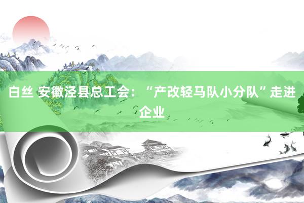 白丝 安徽泾县总工会：“产改轻马队小分队”走进企业