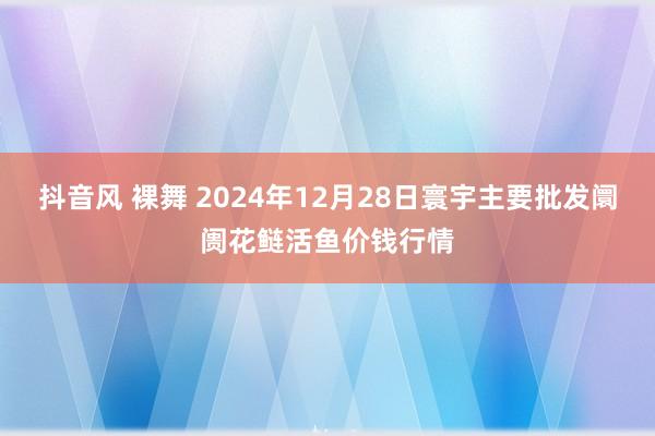 抖音风 裸舞 2024年12月28日寰宇主要批发阛阓花鲢活鱼价钱行情